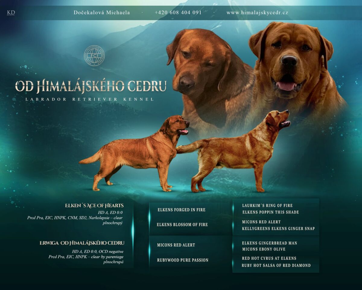 att.GiOudba8_W80CFQimZO2IvfUFBIrKQ-fCHVCLsPnk_o