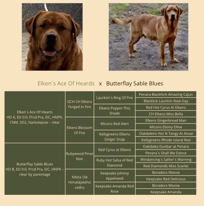 848FDEB2-2E0C-4091-8763-AE06593B0B6A