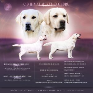 346633268_10224637162656199_8246702462745343267_n