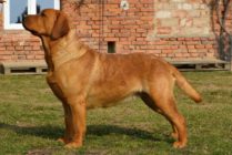 Rubywood Pure Passion