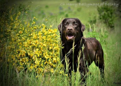 101549566_10222660210272304_3193429882474332160_o