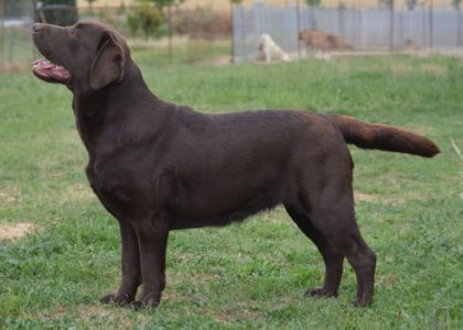 19531900_10210152214861557_2014923448_o