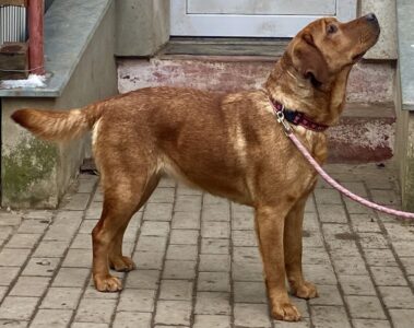 0C004EC2-B666-431A-898B-E8F7C9D4948A