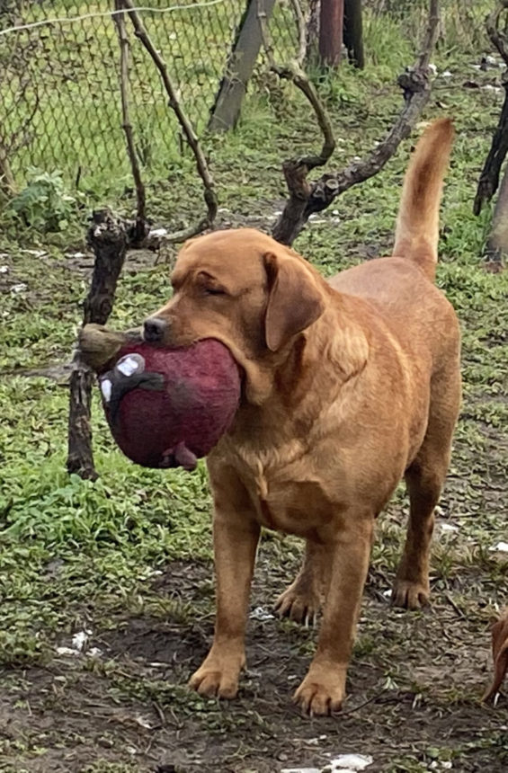 F84AB1D2-D82B-4FEC-8812-E1BB923B09EA