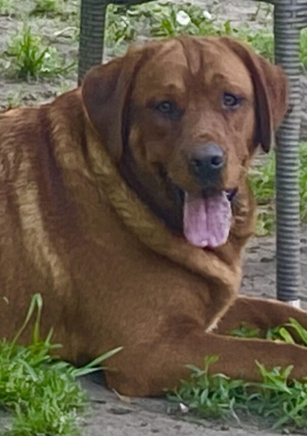 2D07163B-F71C-4785-AE9B-FE11822B4DB3