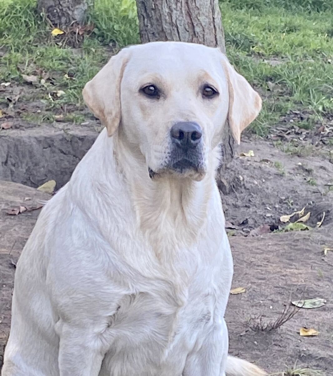 6CF7EA26-8162-495D-AD37-0986CA4C2915