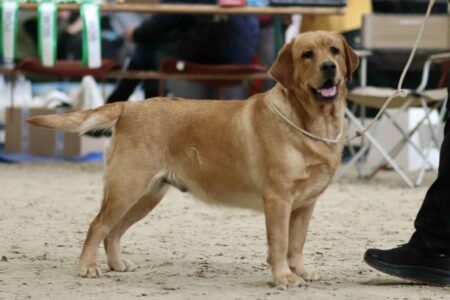 att.mGHFJ74XMmqx1vyU_tIxcEONAsQEeOHEThy9jT19Qm8