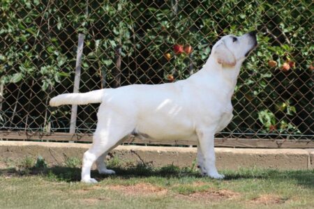 53d6be4f-58ab-42d3-9a38-a9bd81fa8f7f